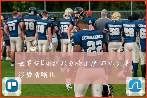 世界杯E小组积分榜出炉 四队竞争形势清晰化